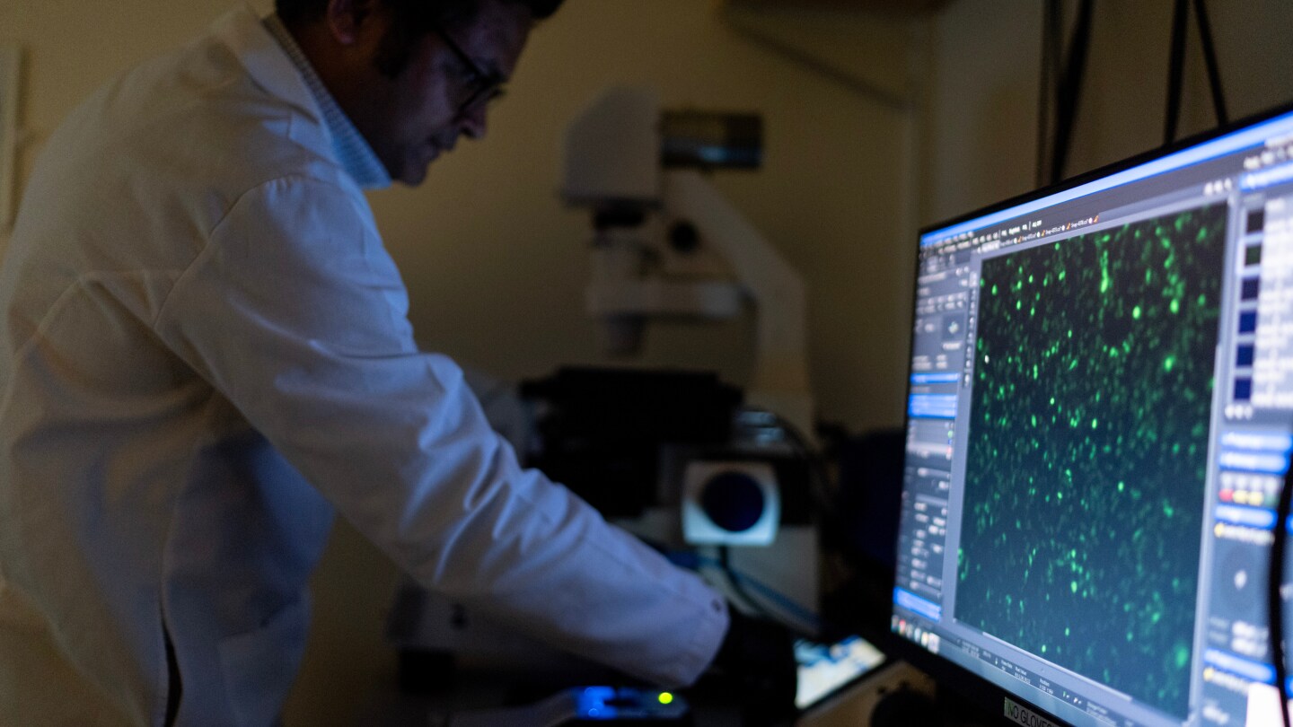 Featured image for Over 100 autoimmune diseases mainly affect women: key facts