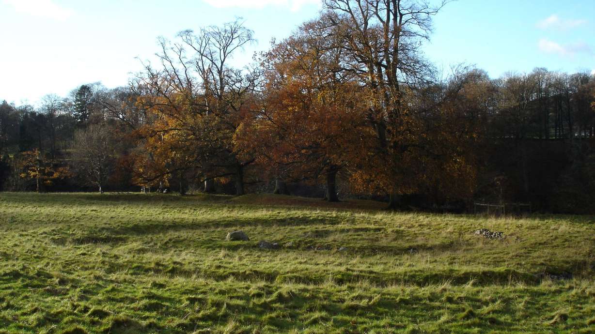 Uncovering Britain's Oldest Plague with 4000-Year-Old DNA