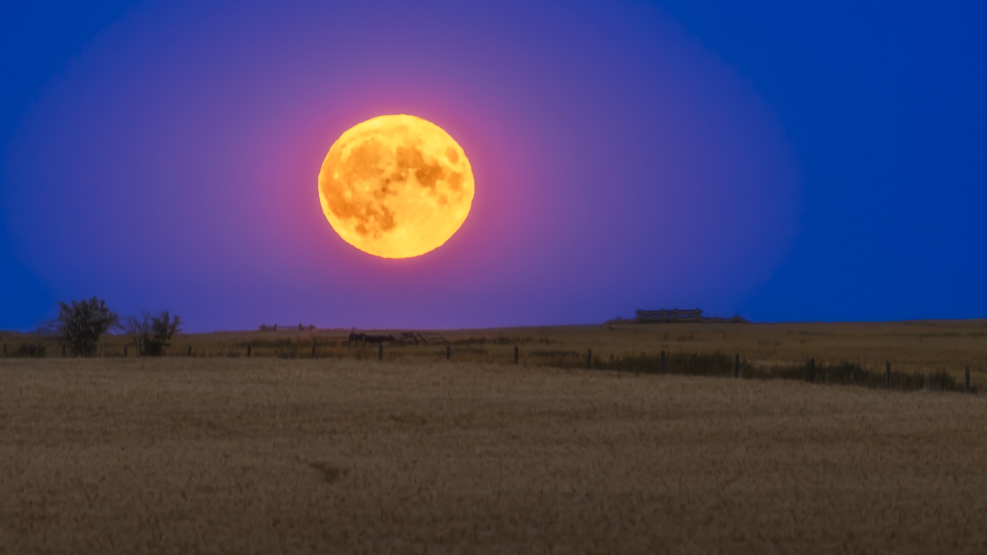 Featured image for Upcoming Blood Moon Lunar Eclipse to Illuminate Night Skies Worldwide