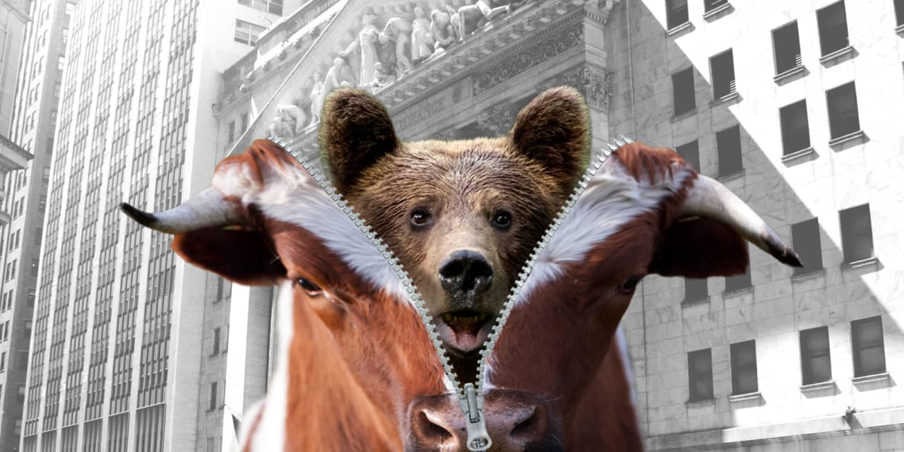 Featured image for Beware: One-day stock rallies often signal bear markets