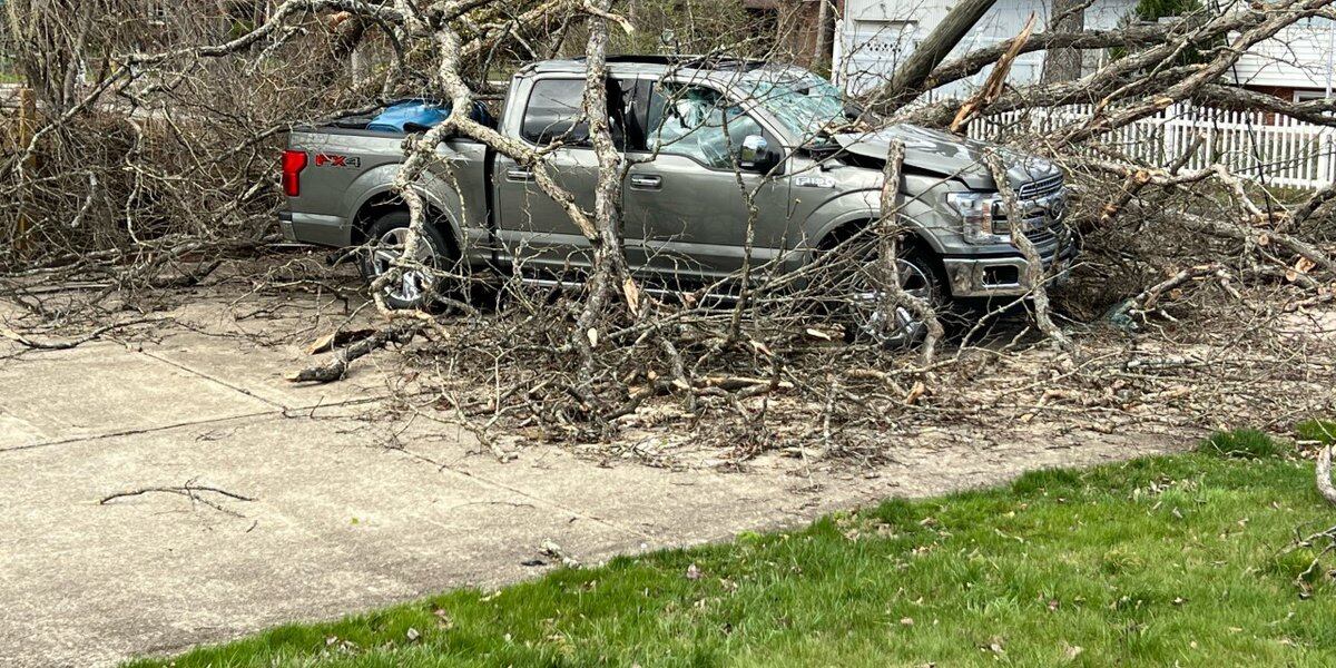 Featured image for Fatalities reported after trees fall on vehicles in West Virginia.