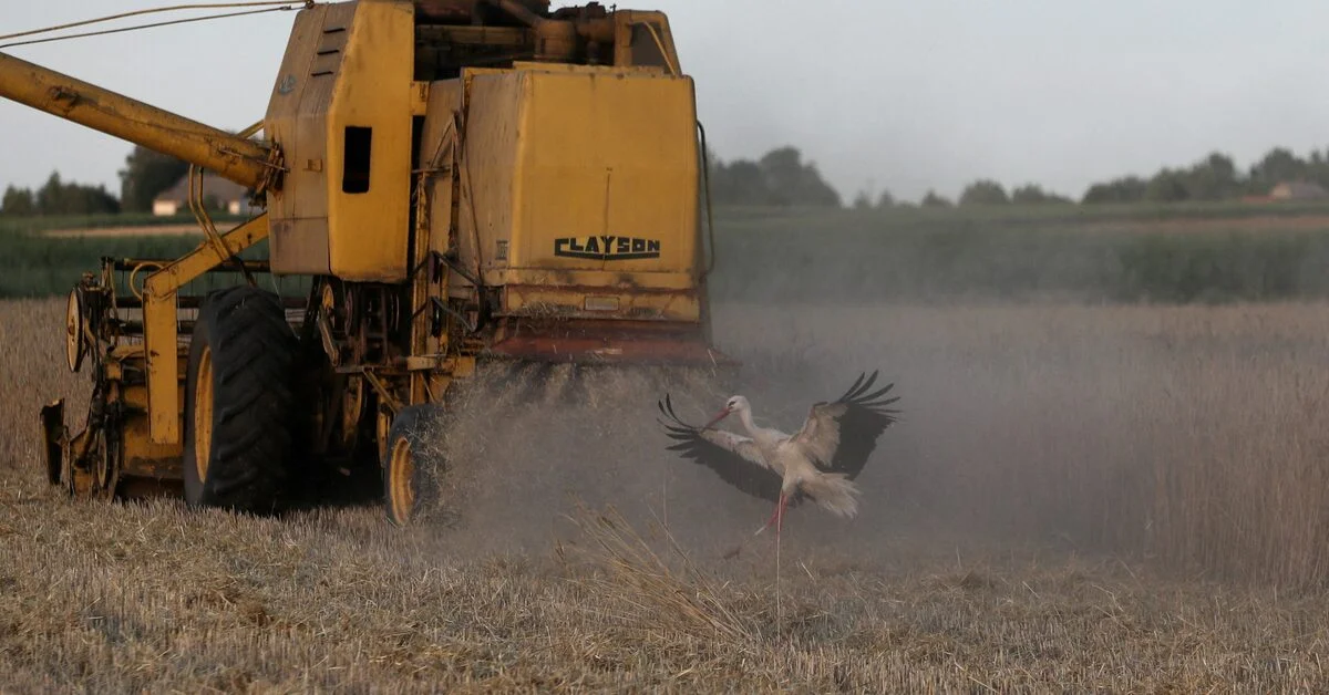 Ukraine grain import bans spread in Eastern Europe.