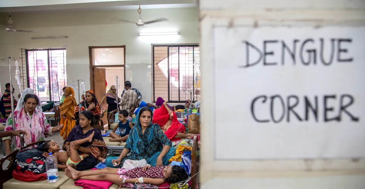 Featured image for Global Mosquito-Borne Disease Has Cure, But Challenges Remain