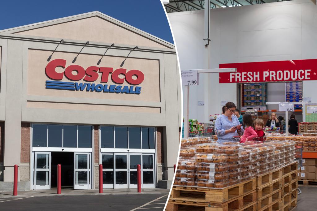 Costco Mom's Budget-Friendly Must-Haves for a Family of 3