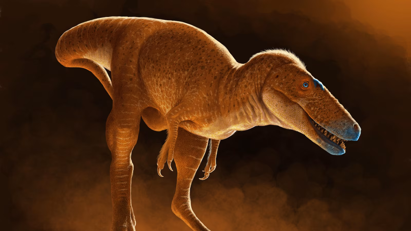 New Tyrannosaurus Ancestor Discovered as Key Evolutionary Link