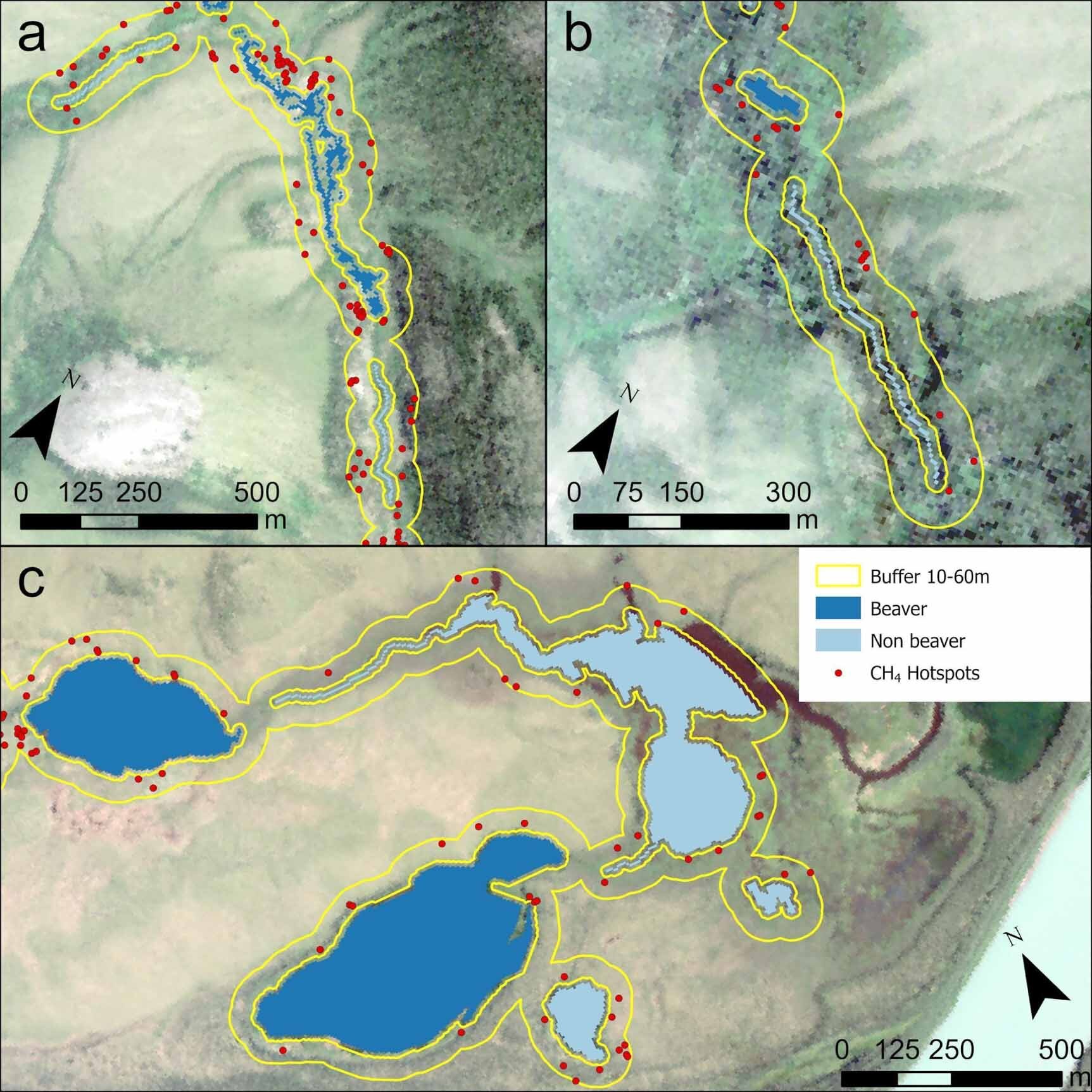 Beaver Activity in Arctic Amplifies Methane Emissions