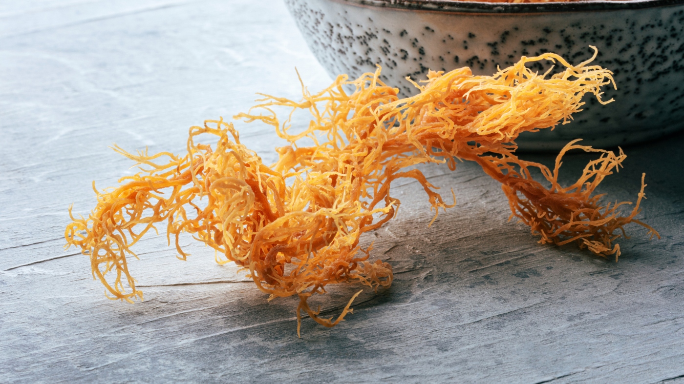 Featured image for Sea Moss: The Beauty and Health Trend Under the Spotlight