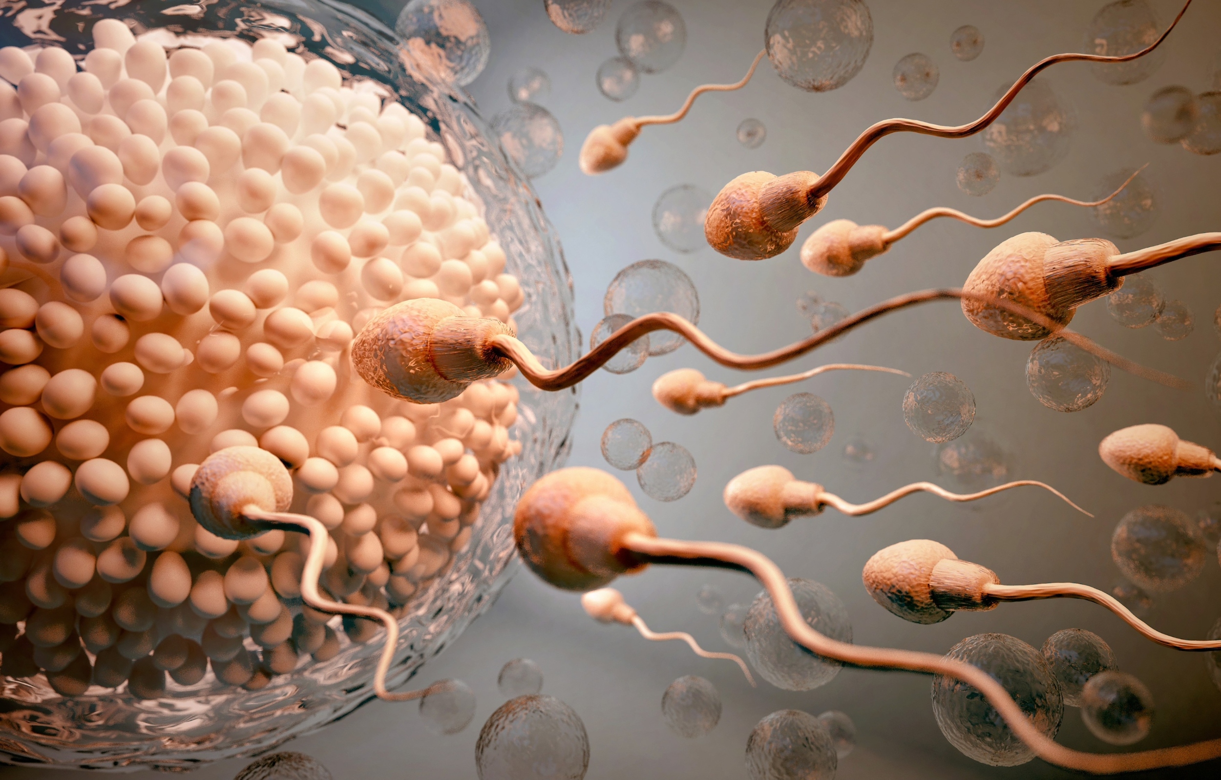 Featured image for Microplastics Detected in Human Reproductive Fluids, Raising Fertility Concerns