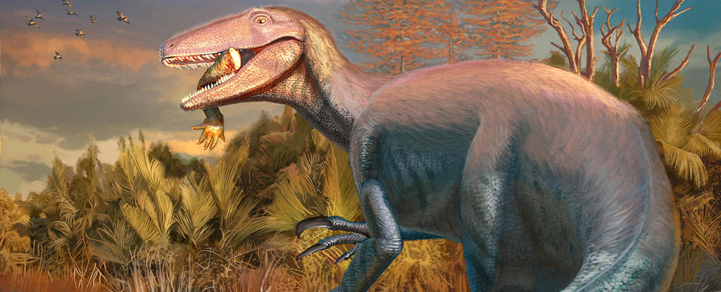 Featured image for New Megaraptor Species Discovered with Last Meal Preserved