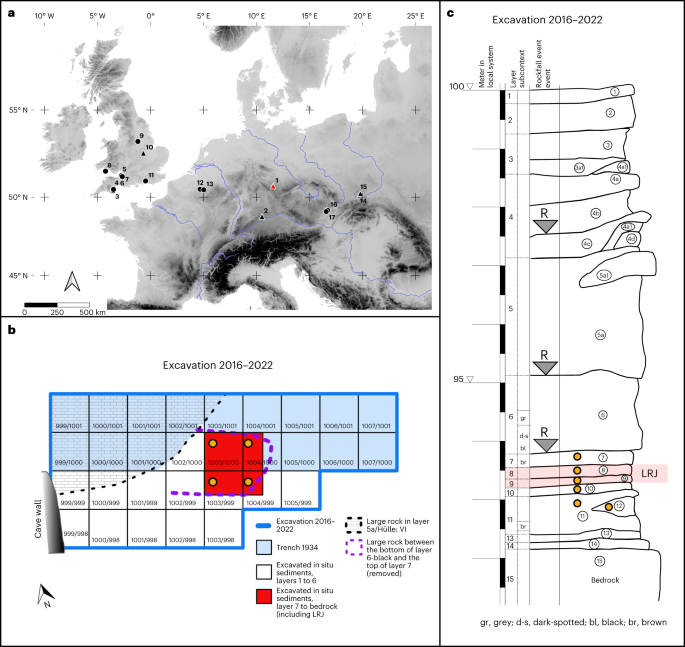 "Insights into the Ecology and Diet of 45,000-Year-Old Homo sapiens in Central Europe"