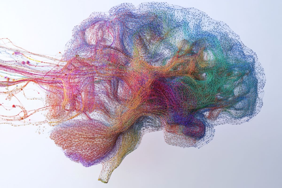 Featured image for 3D Brain Models Reveal Memory and Connectivity Secrets