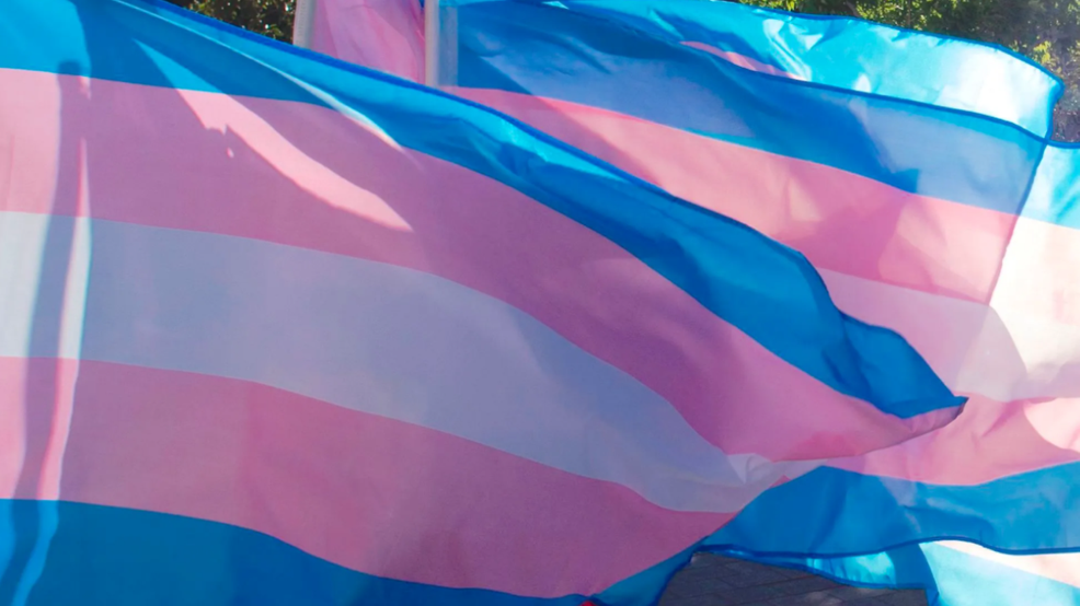 Florida Governor DeSantis signs bill banning gender-affirming care for minors.