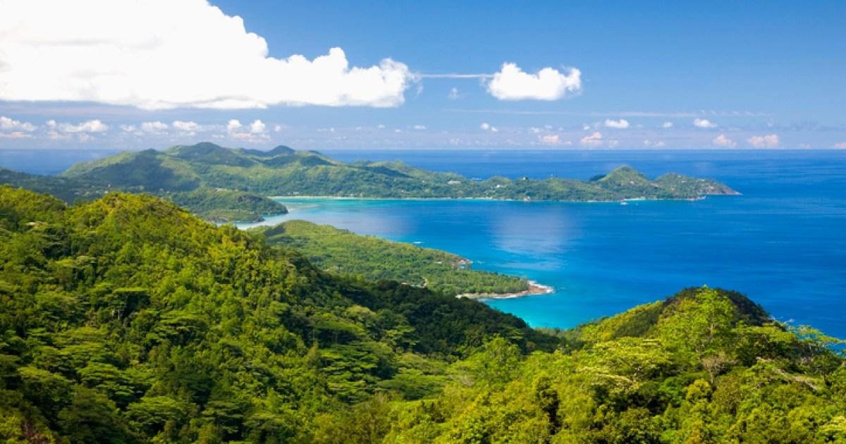 Featured image for "World's Largest Animal, Blue Whales, Rediscovered in Seychelles: A Triumph Over Decades of Whaling"