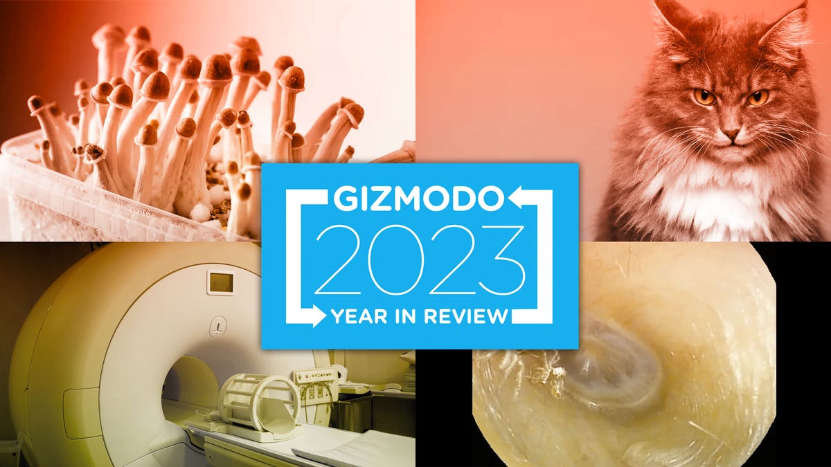 Featured image for "Bizarre Medical Cases That Stunned in 2023"