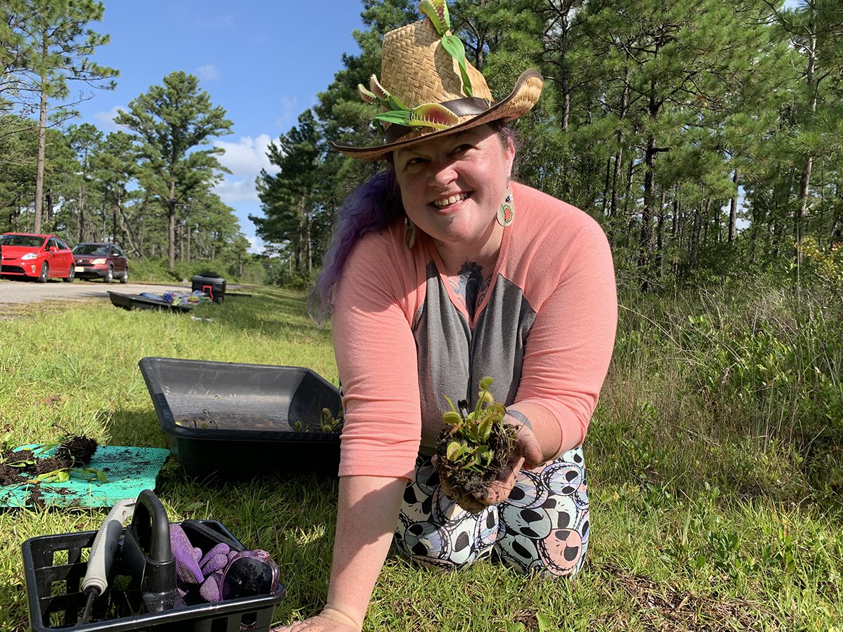Rescue Mission: Volunteers Safeguard Venus Flytraps