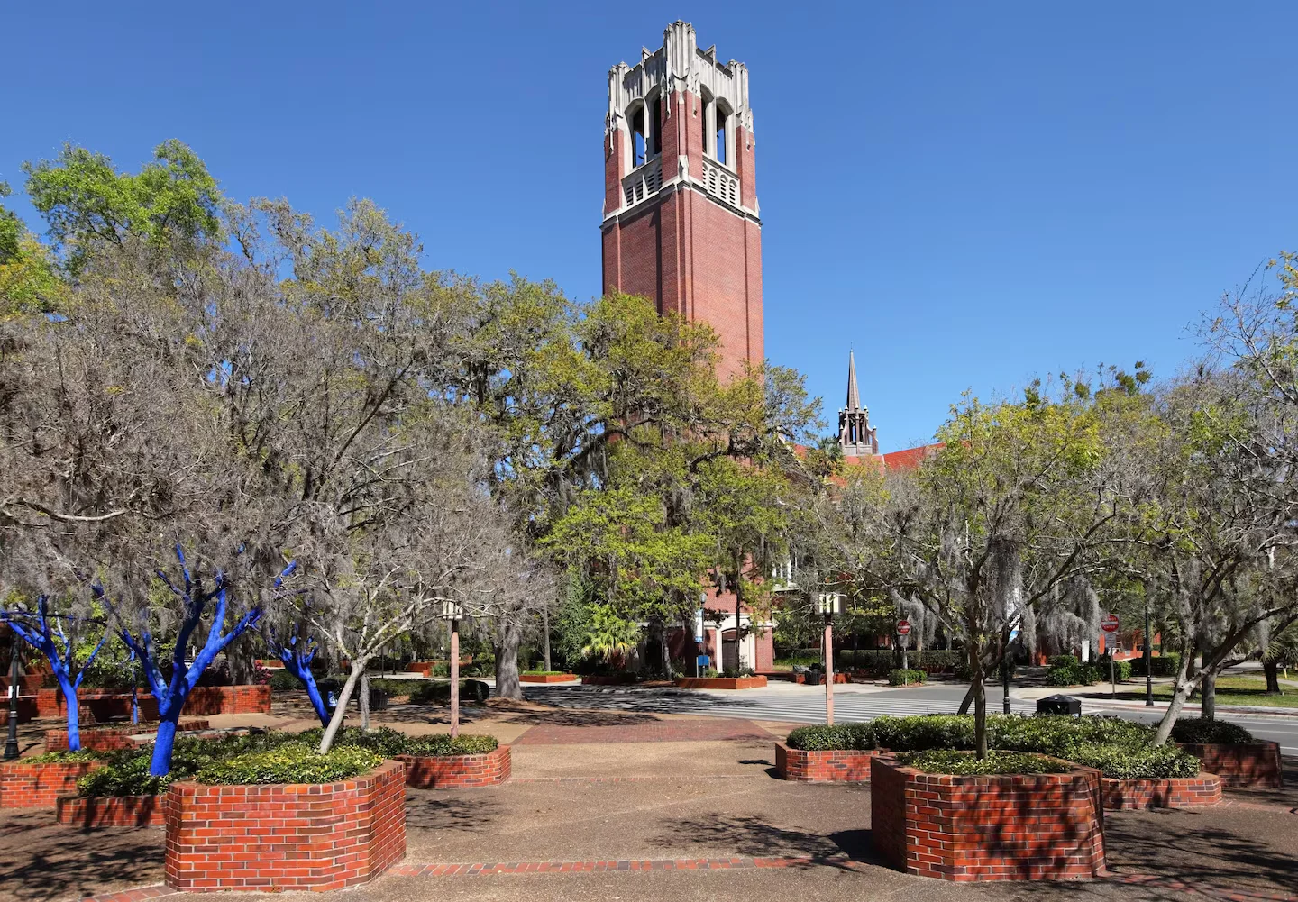 UF College Republicans disbanded after antisemitic gesture allegations