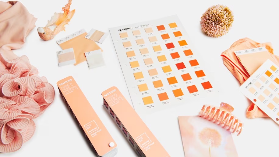 Featured image for "Pantone's 'Peach Fuzz': The Color of the Year for 2024 and Its Impact on Photography"