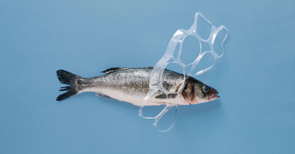 Featured image for Global Treaty and African Nations Take Action Against Plastic Pollution