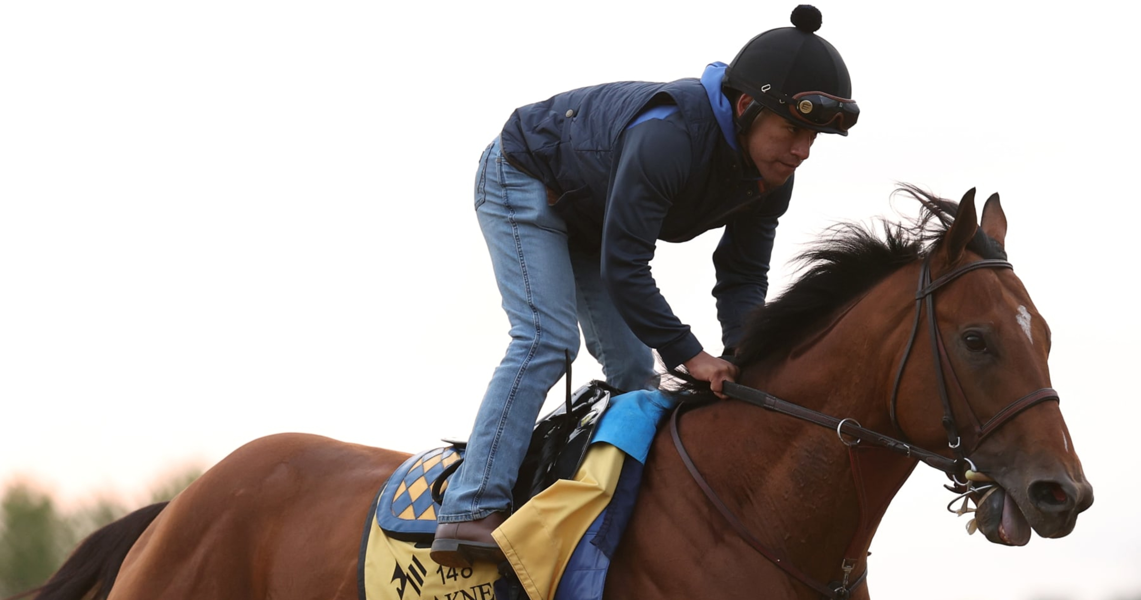 Featured image for National Treasure Upsets Favorites to Win 2023 Preakness Stakes