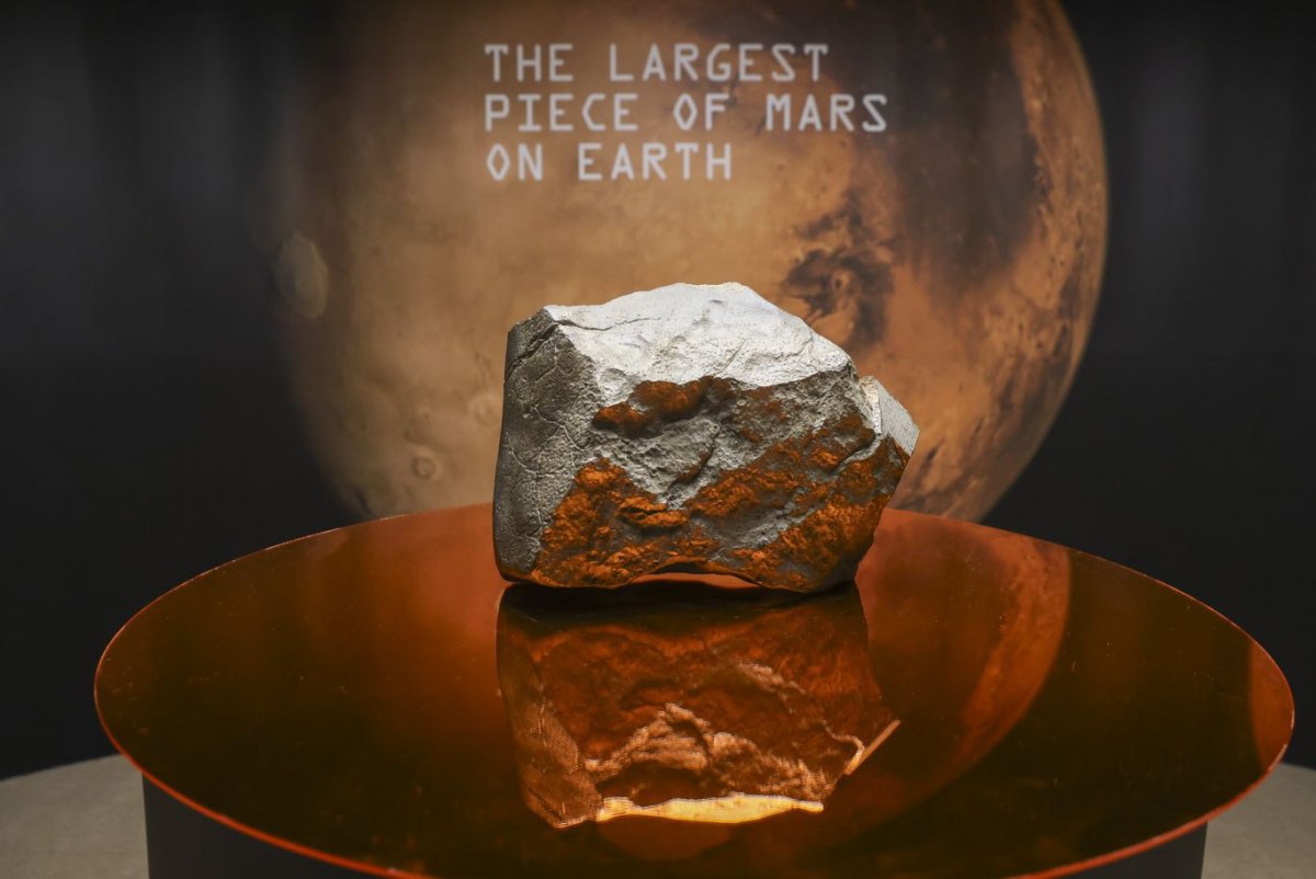 Featured image for Record $5.3M Sale for Largest Mars Meteorite on Earth