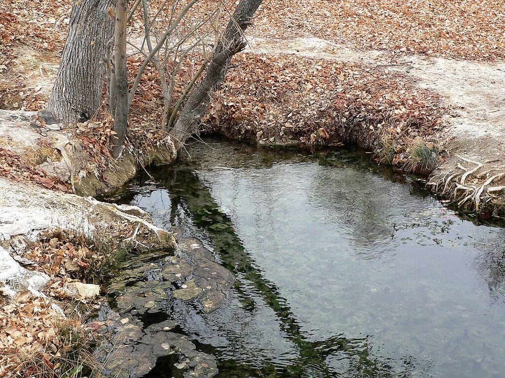 Featured image for Tragic Loss: Toddler Succumbs to Brain-Eating Amoeba