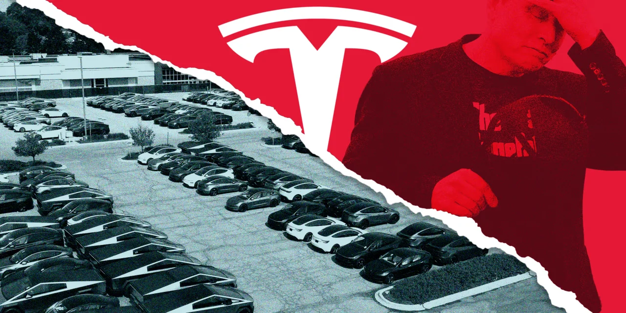 Tesla's Future: Expanding AI Initiatives