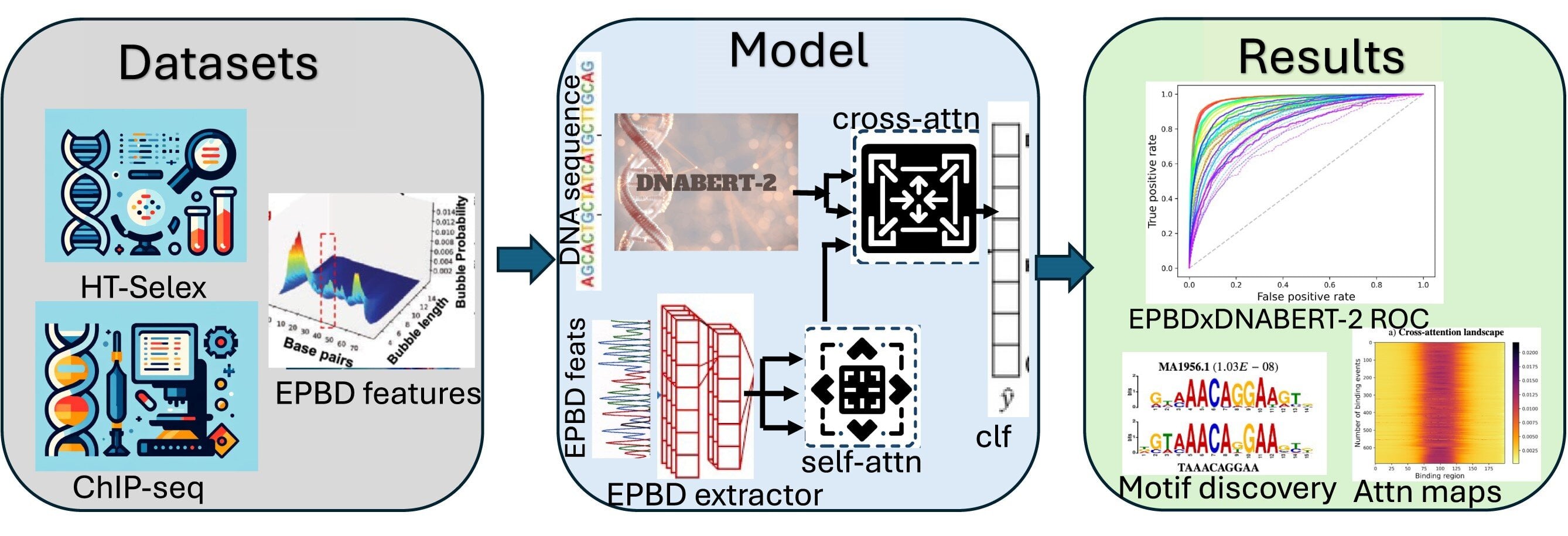 Featured image for AI Breakthrough Enhances DNA-Based Disease and Aging Predictions