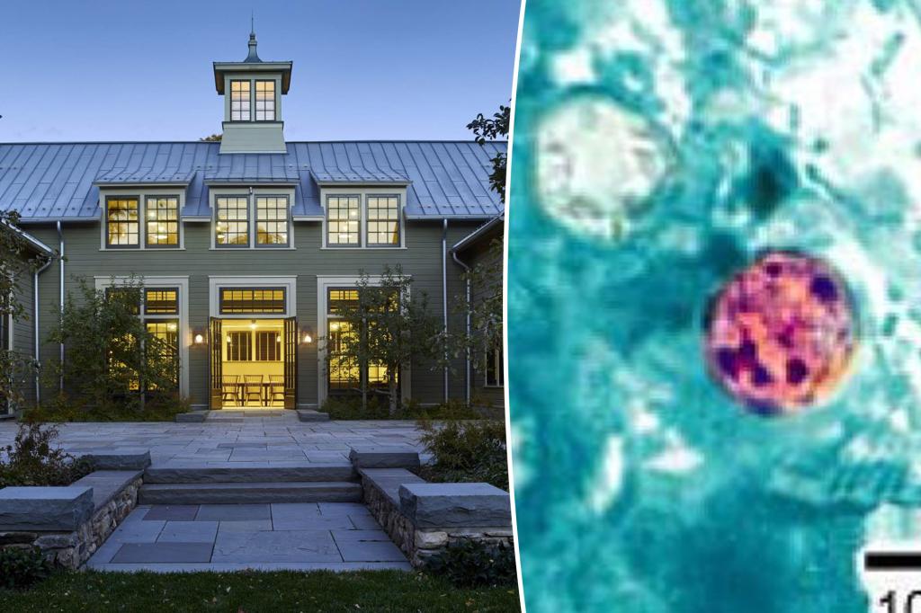 Featured image for "Stomach Bug Strikes Ritzy NY Gala, Resembles 'Zombie Apocalypse'"