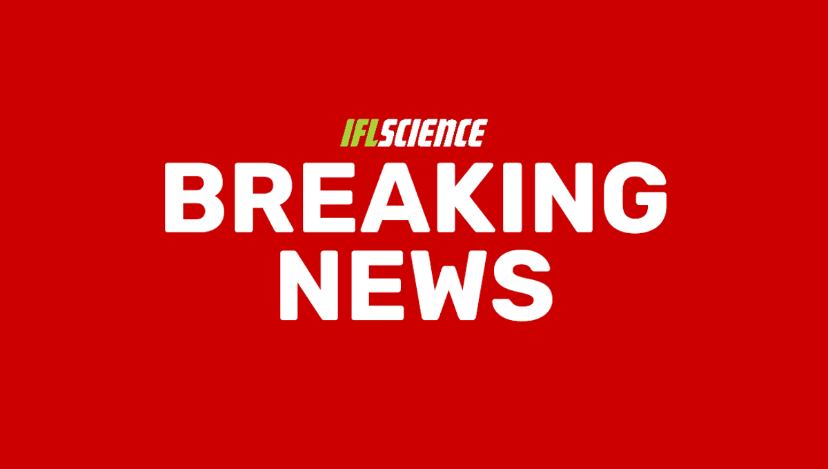 Featured image for "NASA Successfully Accesses Historic Bennu Asteroid Sample"