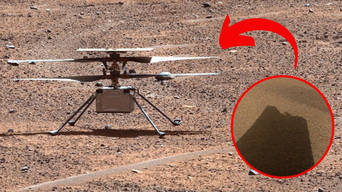 "NASA's Ingenuity: A Journey Cut Short on Mars"