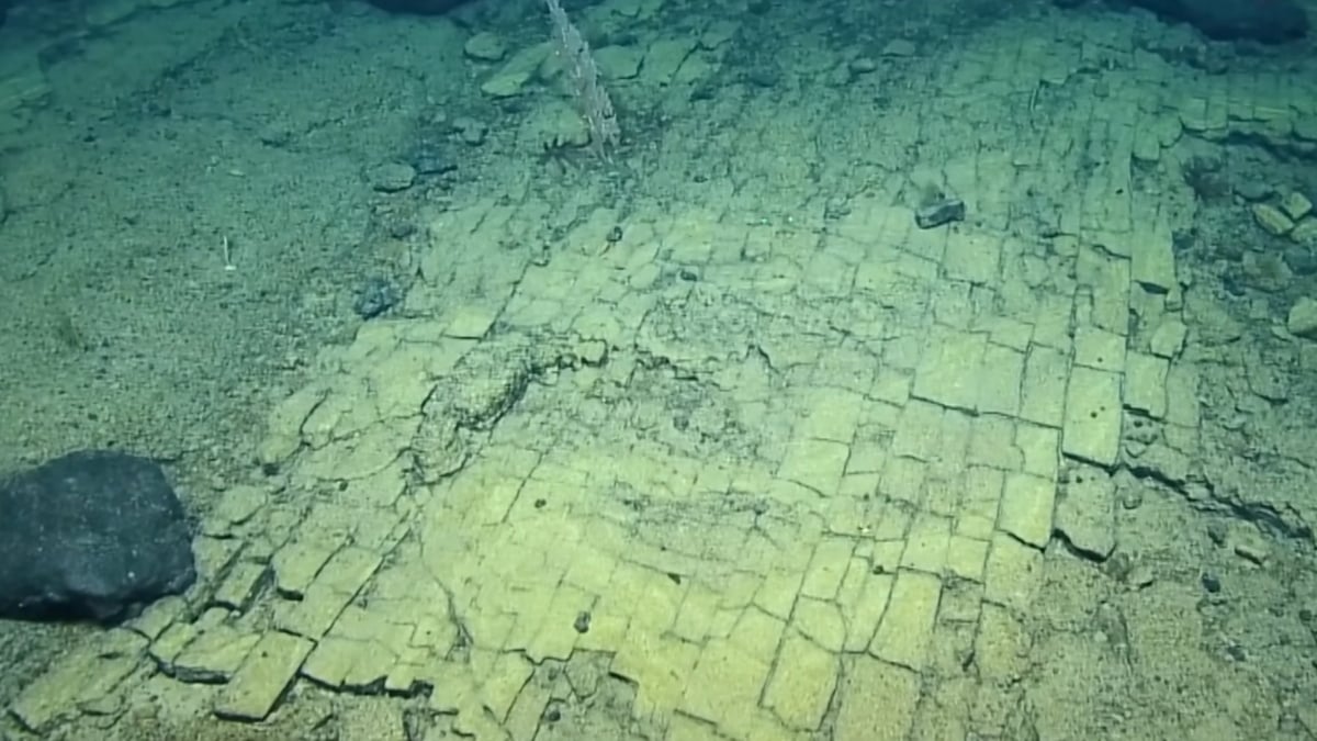 Featured image for Scientists Discover 'Yellow Brick Road' at Ocean's Depth