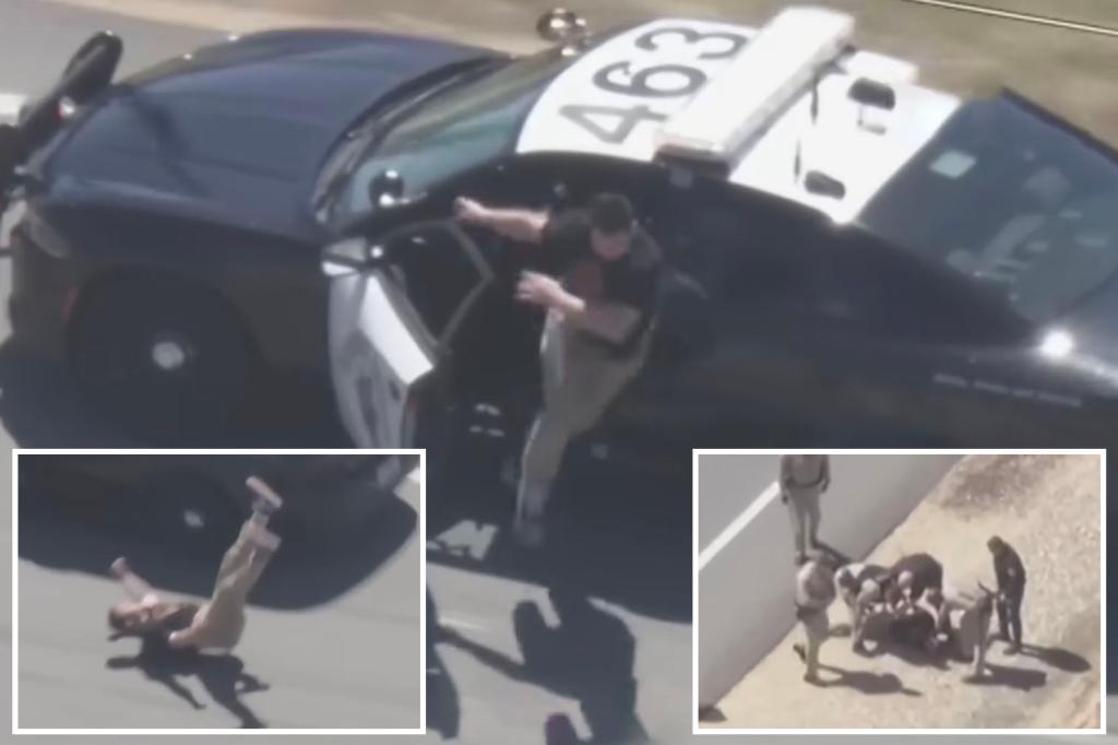 Stolen police car thief dies after jumping out during high-speed chase.