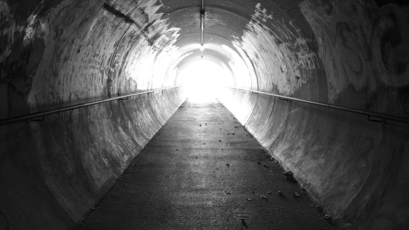 Featured image for "Study reveals link between near-death experiences and post-death brain activity"