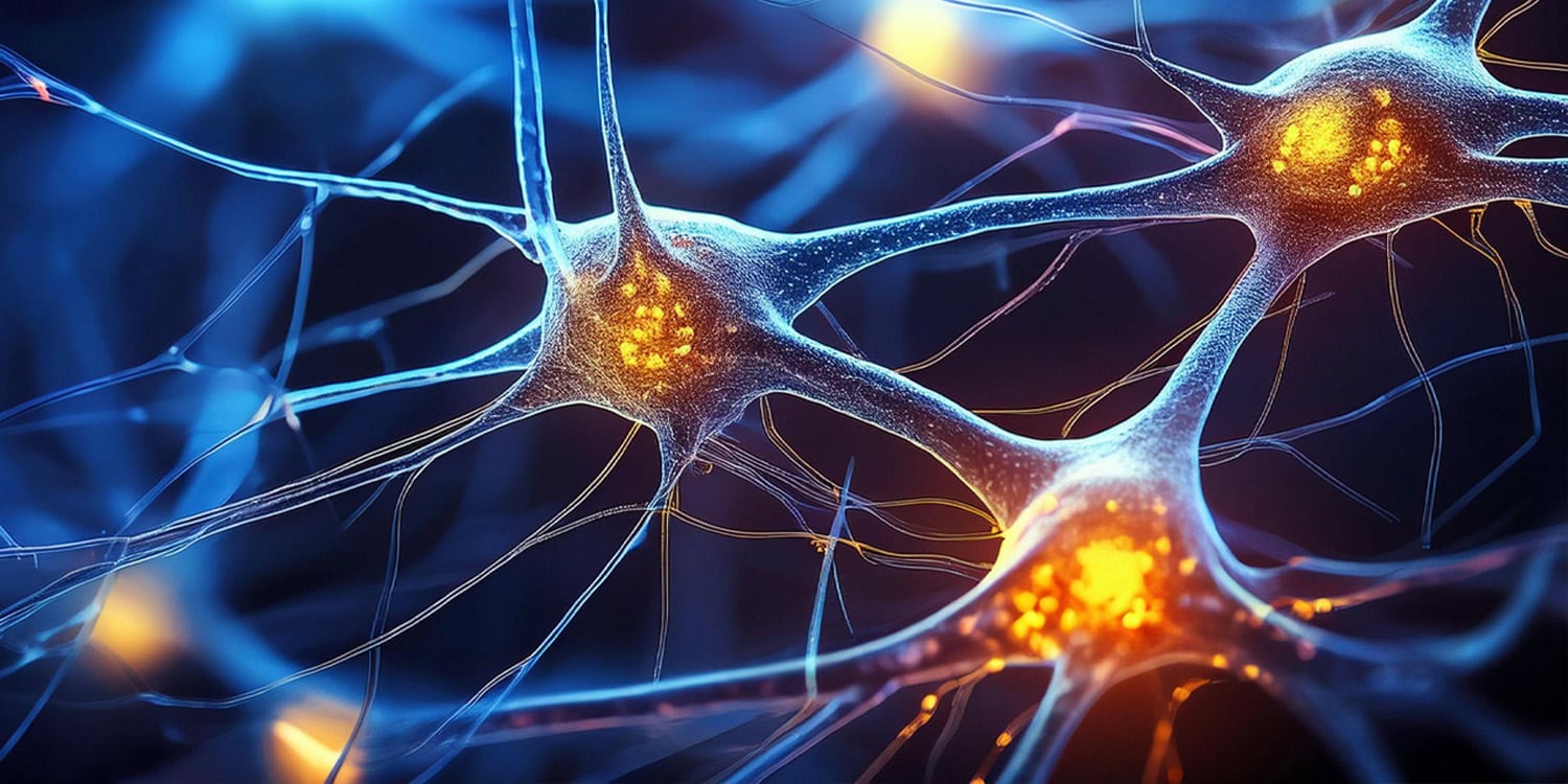 Featured image for Recent Neuroscience Studies Uncover Surprising Memory Insights