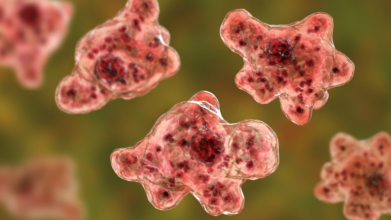 Tragic Death of 2-Year-Old Boy in Las Vegas Linked to Brain-Eating Amoeba
