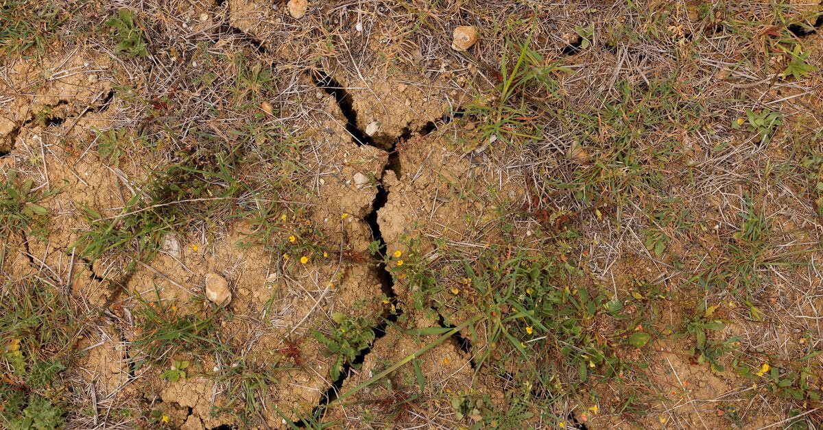 Record-breaking heatwave hits Spain and Portugal, raising concerns about climate change and drought.