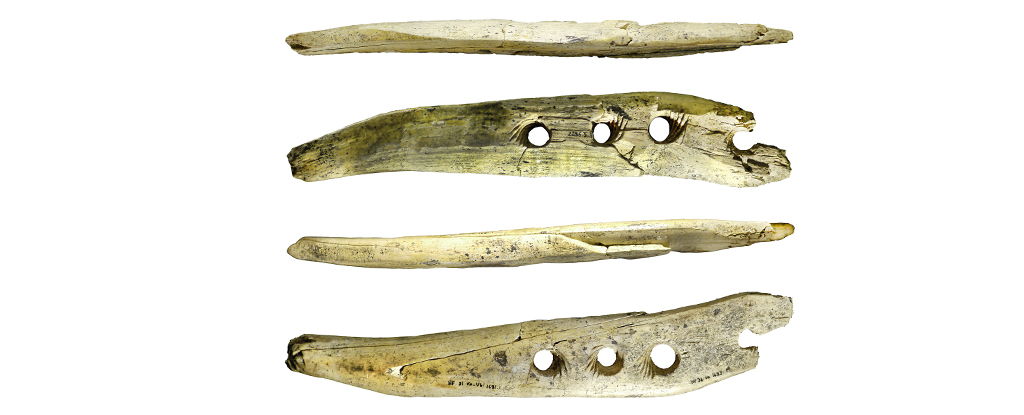 Ancient Mammoth Tusk Tool Revealed as Rope-Making Device