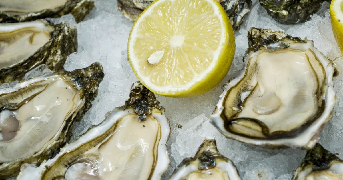 Featured image for Flesh-Eating Bacteria Outbreaks Rise Amid Oyster-Related Deaths
