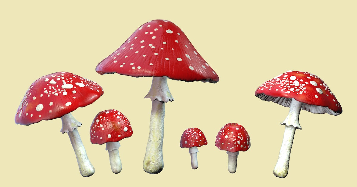 Psychedelic Drugs Rewire the Brain to Treat Depression Without Hallucinations