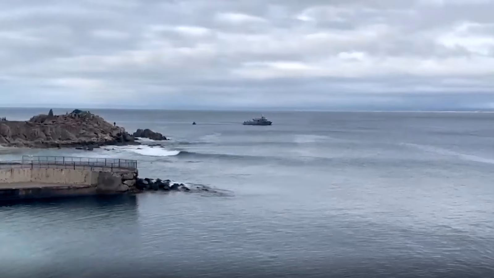 Featured image for Missing Swimmer in California After Possible Shark Encounter