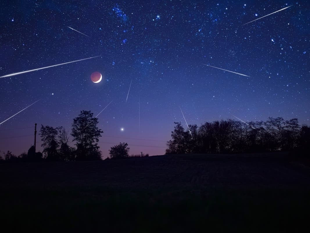 "Upcoming Meteor Showers and Fireballs: A Skywatcher's Guide to Fremont"