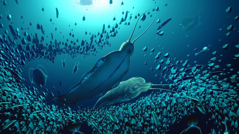 Featured image for Ancient 'Terror Beasts': Unearthing the Giant Carnivorous Worms That Dominated Seas 518 Million Years Ago