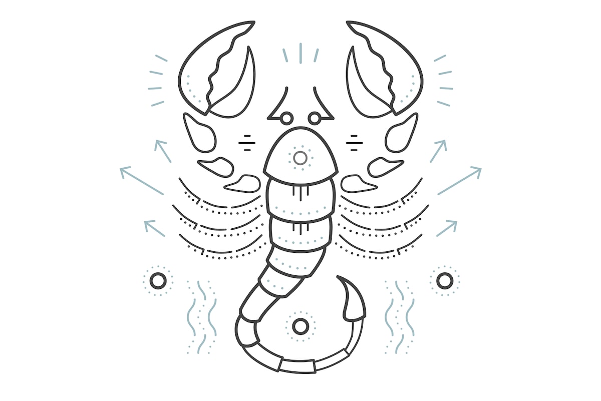 Astrological Insights: Love and Clarity in November 15 Horoscopes