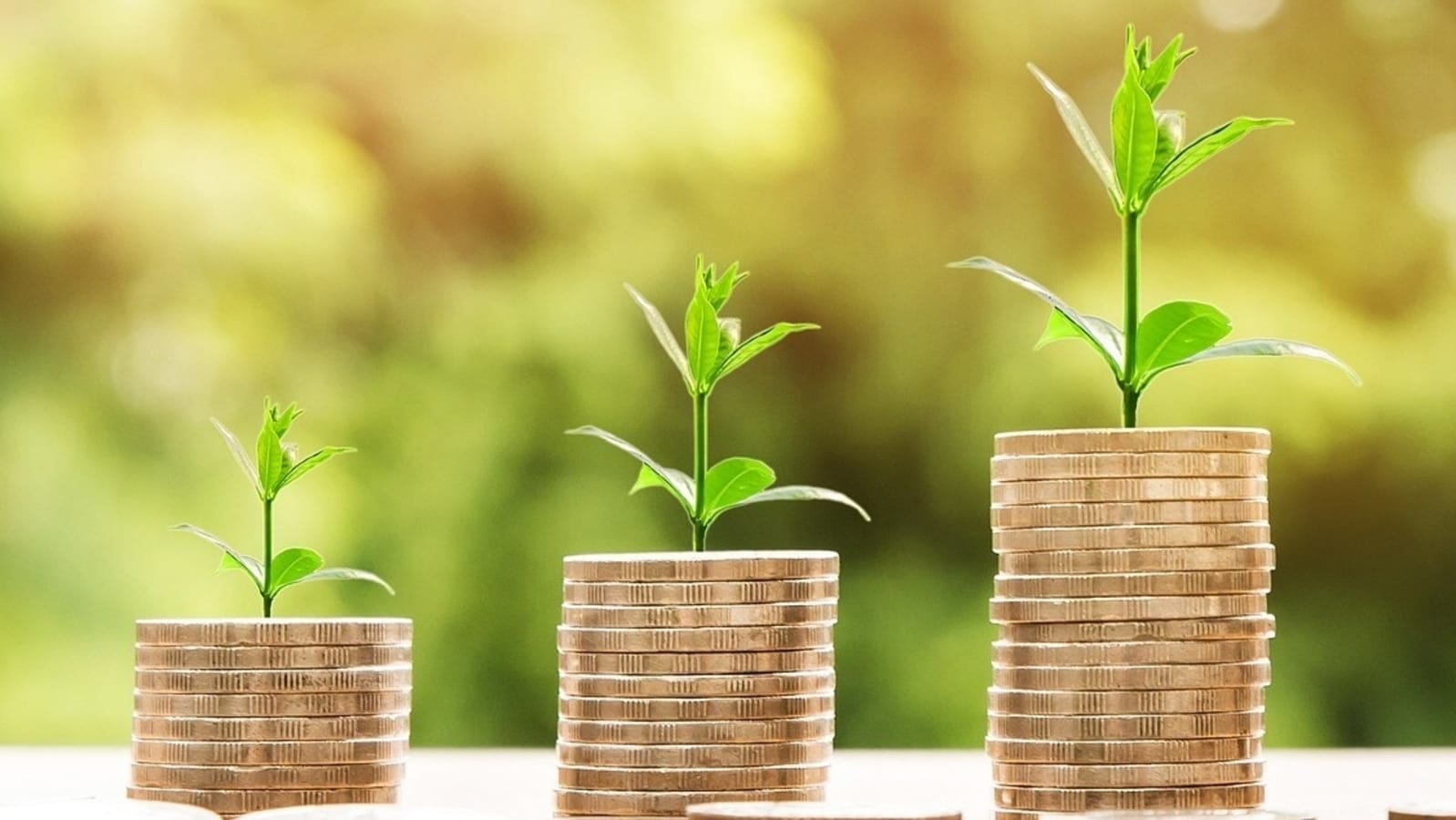 Featured image for "March 20-21, 2024: Horoscope Insights for Career and Happiness"