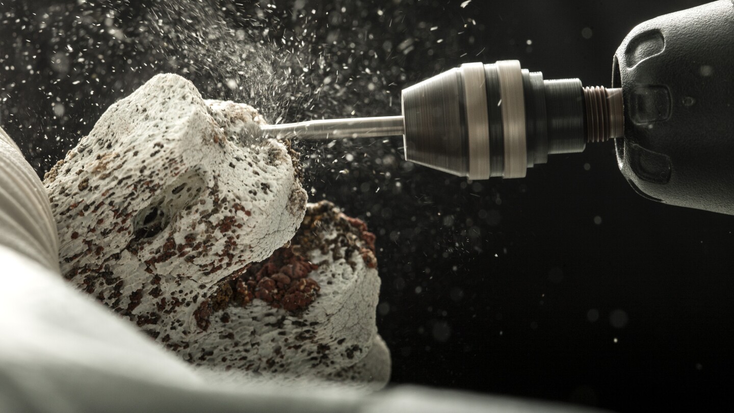 Featured image for "Unraveling the Origins of Multiple Sclerosis through Ancient European DNA"