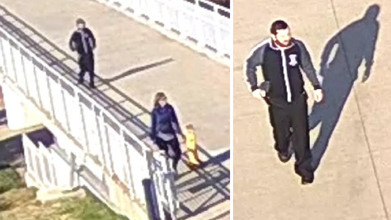 Arrest Made in Alleged Assault on Former Arizona Senator Martha McSally