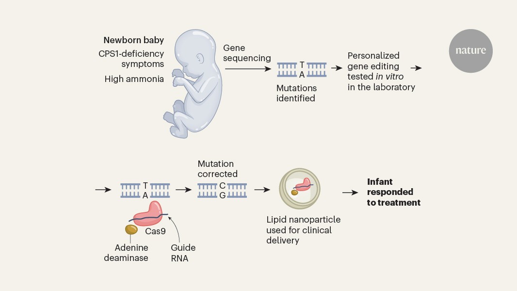 Featured image for Gene Editing Boosts Baby's Health in Clinical Trial