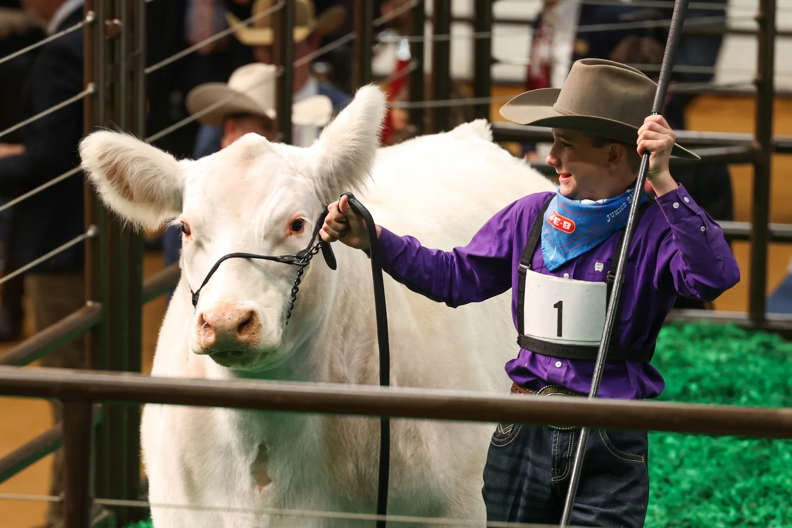 Record-Breaking $550K Sale for Fort Worth Stock Show’s Top Steer