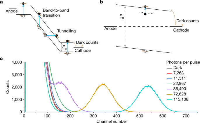 "Revolutionizing Photon Detection with Self-Powered Perovskite Detectors"