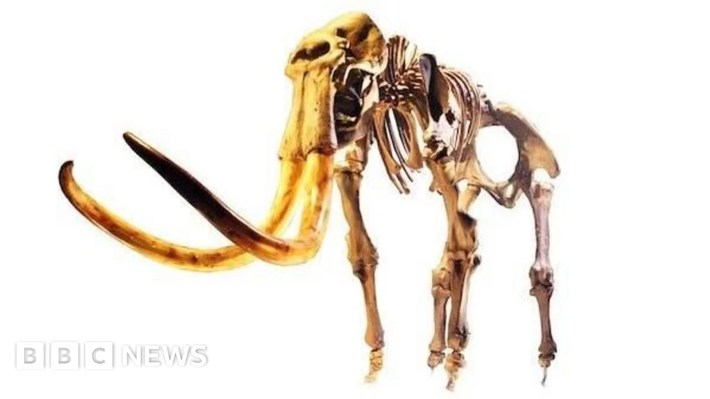 Dog-walkers' chance find reveals Britain's most complete mammoth skeleton